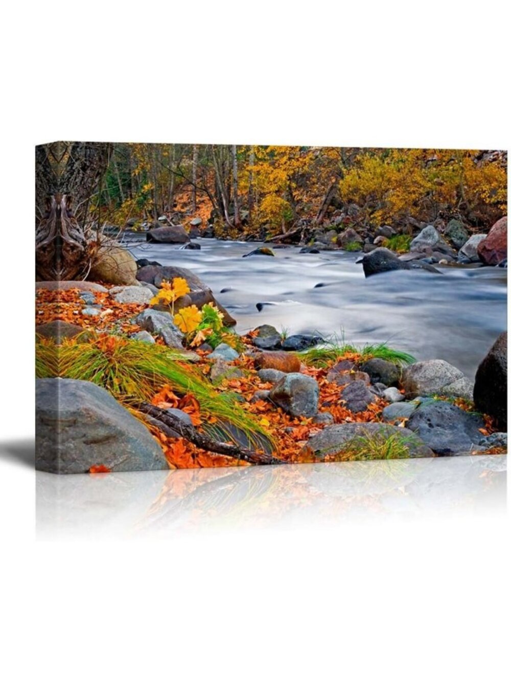 Rocky Lake Forest Fall Canvas Art - 24x36 Home Decor Wall Art for Nature Lovers
